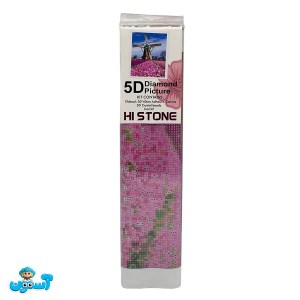 نقاشی الماسی رولی 40*30