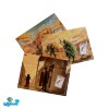 بازی غرب وحشی Bang