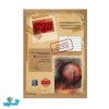 پرونده ماه خونین