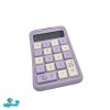 ماشین حساب بنفش RZ 859